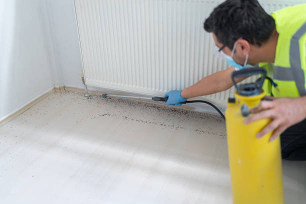 Best Affordable Pest Control Services  in Chester Gap, VA